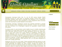 Tablet Screenshot of efendiyag.com